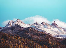 九游体育app：让体育热情触手可及的掌上体验